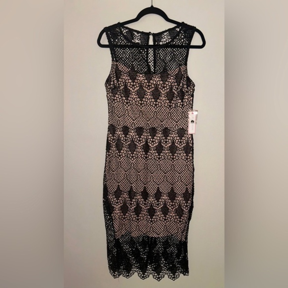 Bisou Bisou Black Lace  Whimsygoth Dress Nude Lining Romantic Feminine 10
